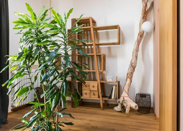 Kolor Oda ve Kahvaltı