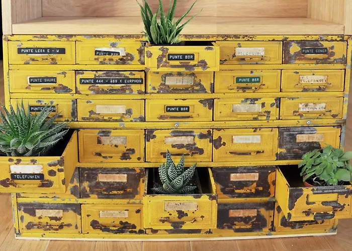 Oda ve Kahvaltı Kolor